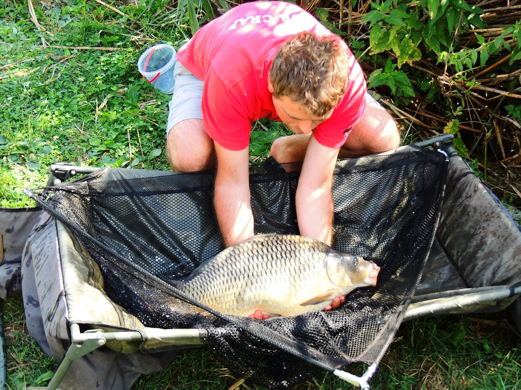 Tancabesti 12 - 14 sep. - dscn6584.JPG